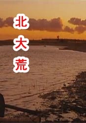 www精品视频